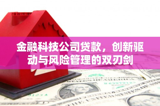 坡头金融科技公司贷款，创新驱动与风险管理的双刃剑